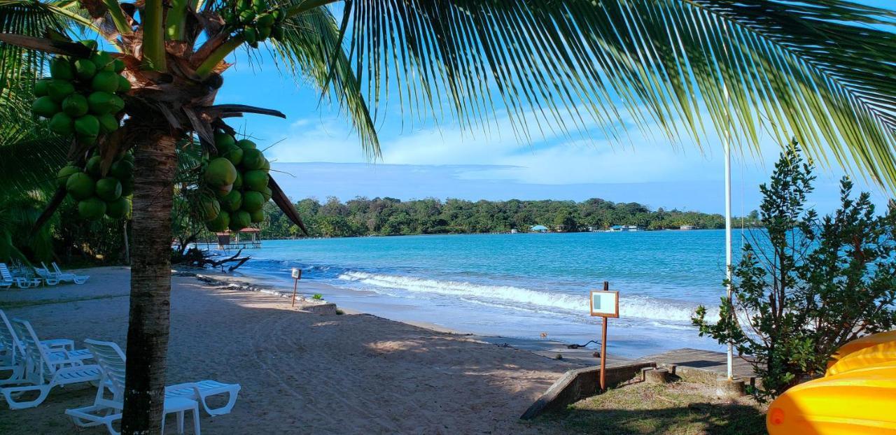Playa Tortuga Hotel&Beach Resort Bocas del Toro Exterior foto
